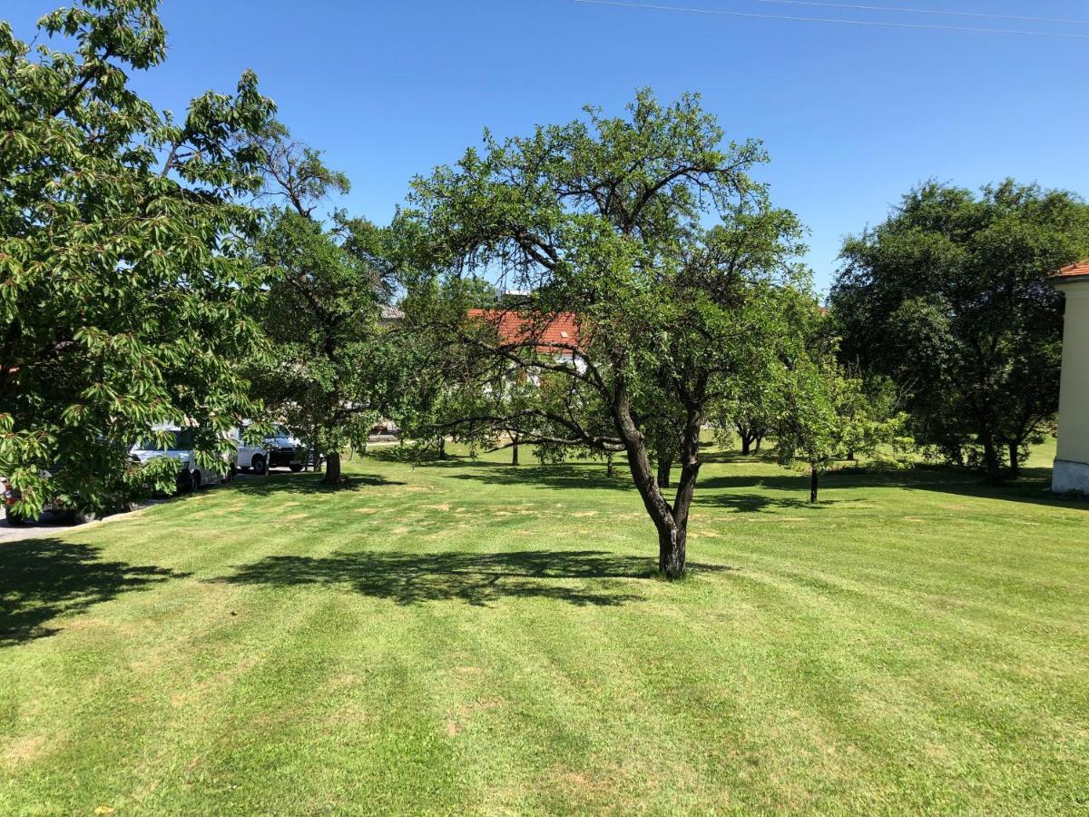 Gasthof Koller Mariasdorf Eksteriør bilde